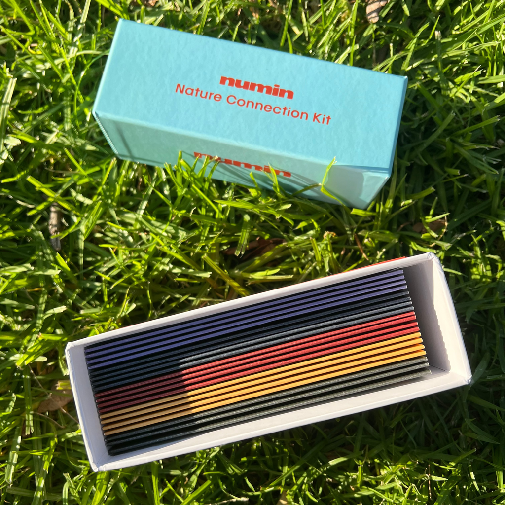Nature Connection Kit