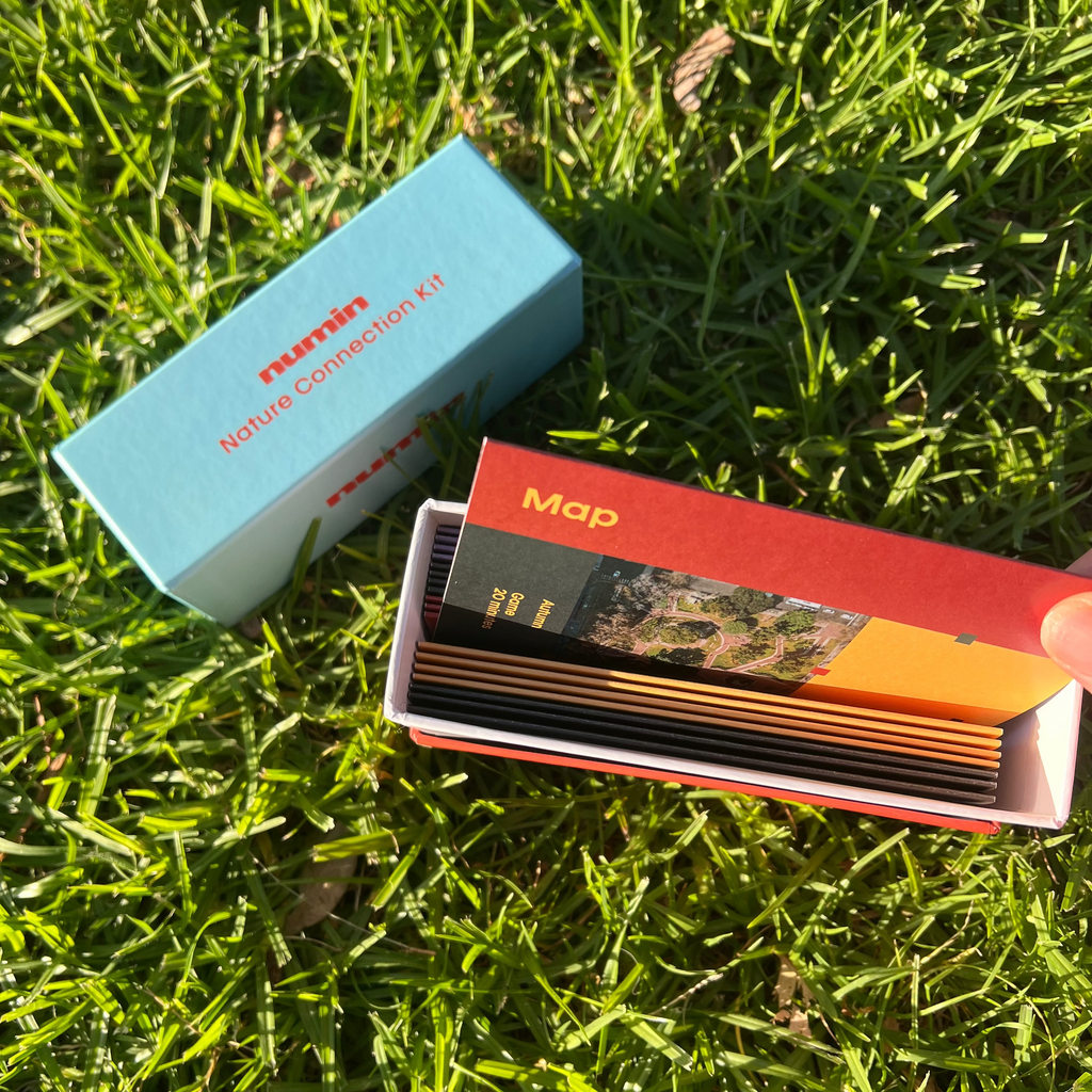 Nature Connection Kit