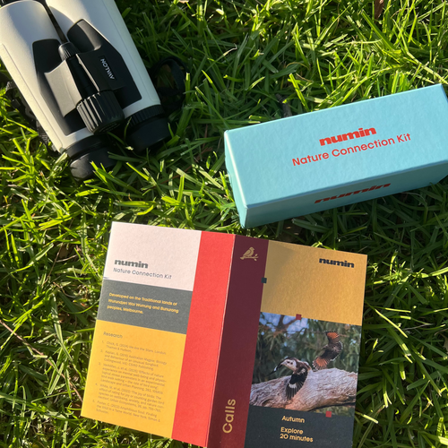 Nature Connection Kit