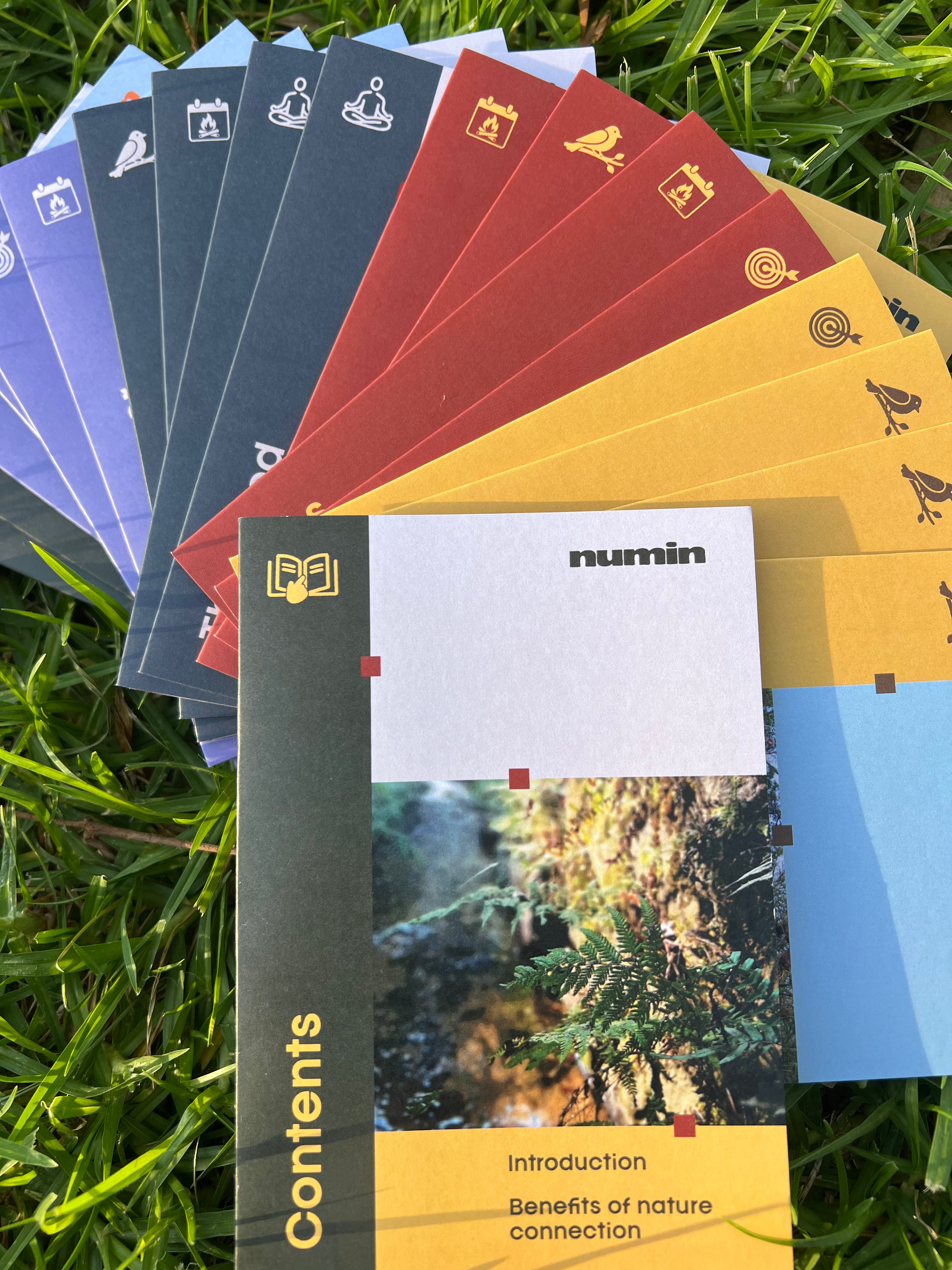 Nature Connection Kit