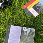 Nature Connection Kit