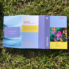Nature Connection Kit