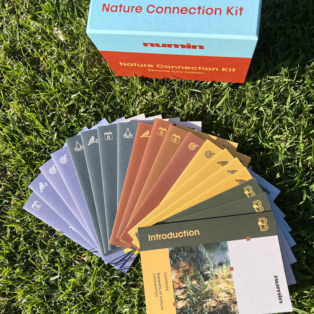 Nature Connection Kit